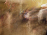 Copyright ©JDCM Photography