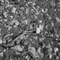 Copyright ©JDCM Photography