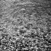 Copyright ©JDCM Photography