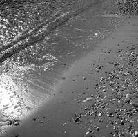 Copyright ©JDCM Photography