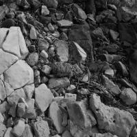 Copyright ©JDCM Photography