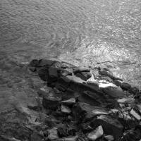 Copyright ©JDCM Photography